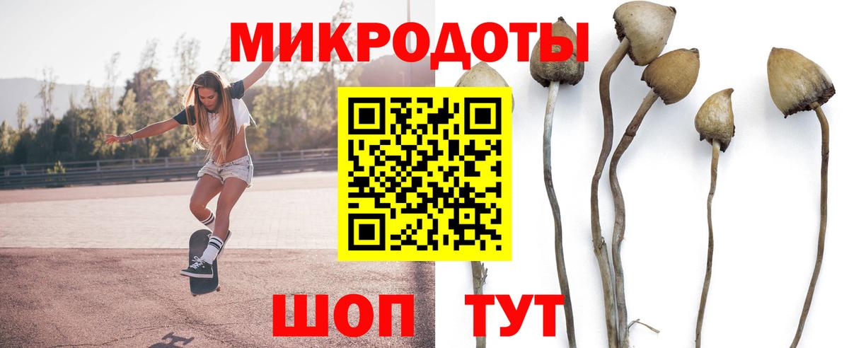 что такое наркотик  Галлюциногенные грибы Magic Shrooms  Вход с VPN  Бийск 